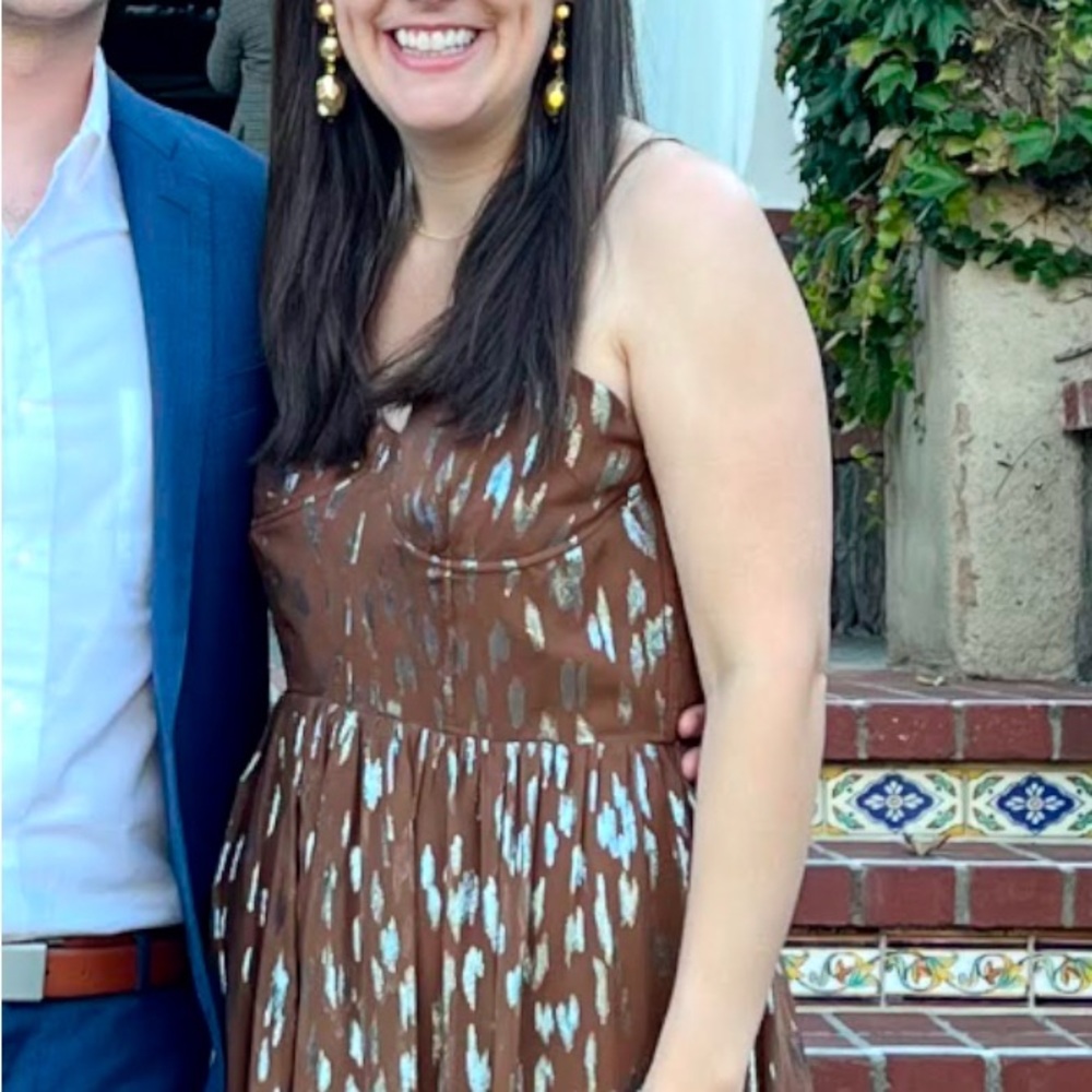 DELFI Brown and metallic dress - worn 1x